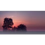 frh am Morgen